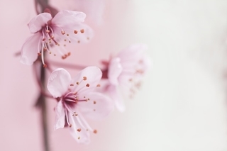 f:id:simple-life-diary:20190223155729j:plain f:id:simple-life-diary:20190223155729j:plain