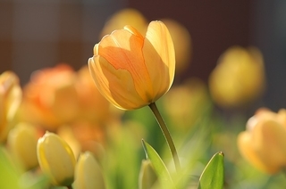 f:id:simple-life-diary:20190226082245j:plain f:id:simple-life-diary:20190226082245j:plain