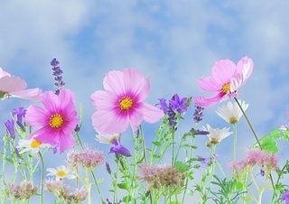 f:id:simple-life-diary:20190303133227j:plain f:id:simple-life-diary:20190303133227j:plain