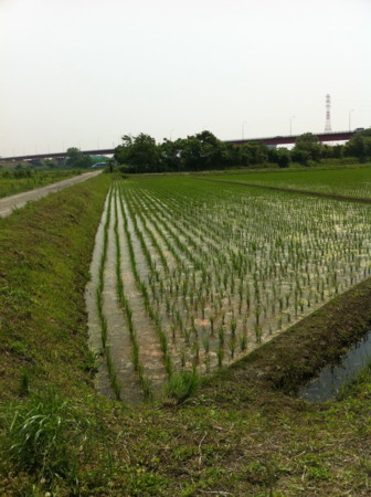 f:id:simpleB:20110522222538j:image f:id:simpleB:20110522222538j:image