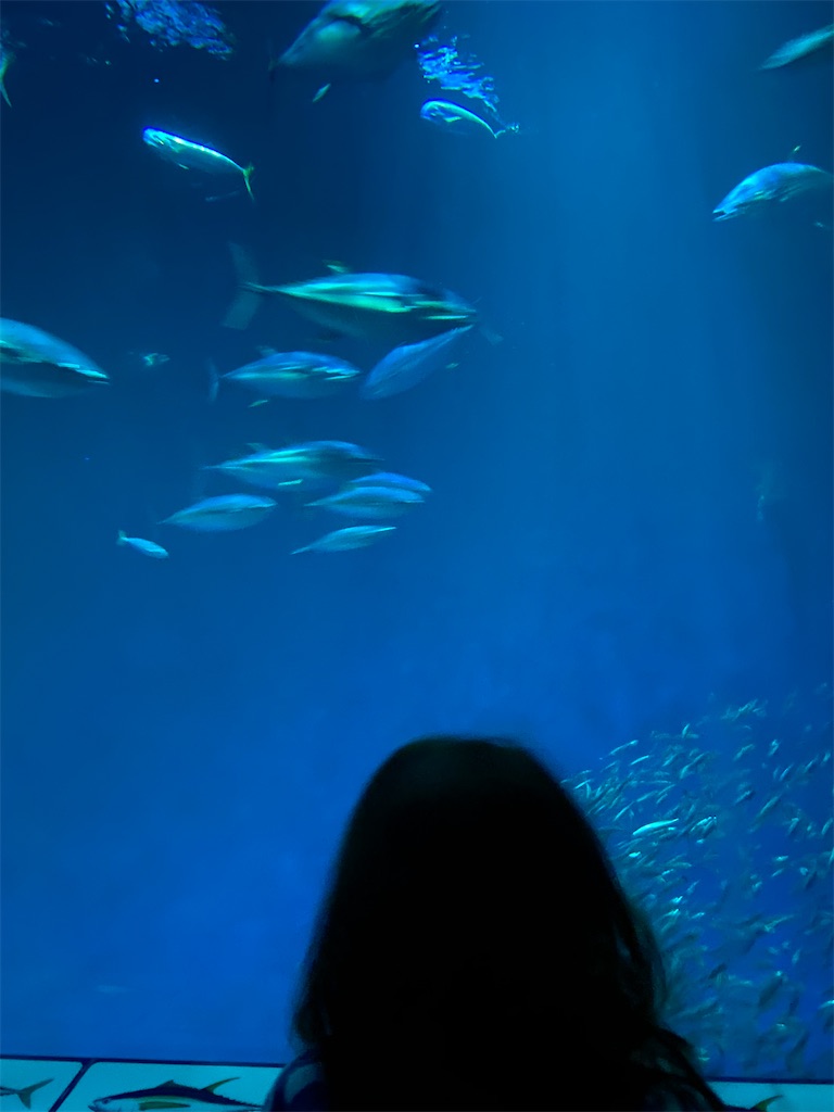 f:id:simpleandpeaceful:20220326134535j:image f:id:simpleandpeaceful:20220326134535j:image