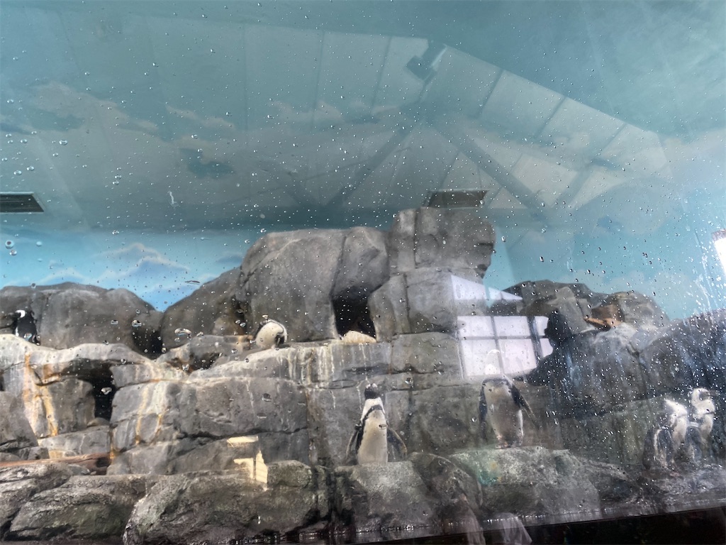 f:id:simpleandpeaceful:20220326134626j:image f:id:simpleandpeaceful:20220326134626j:image