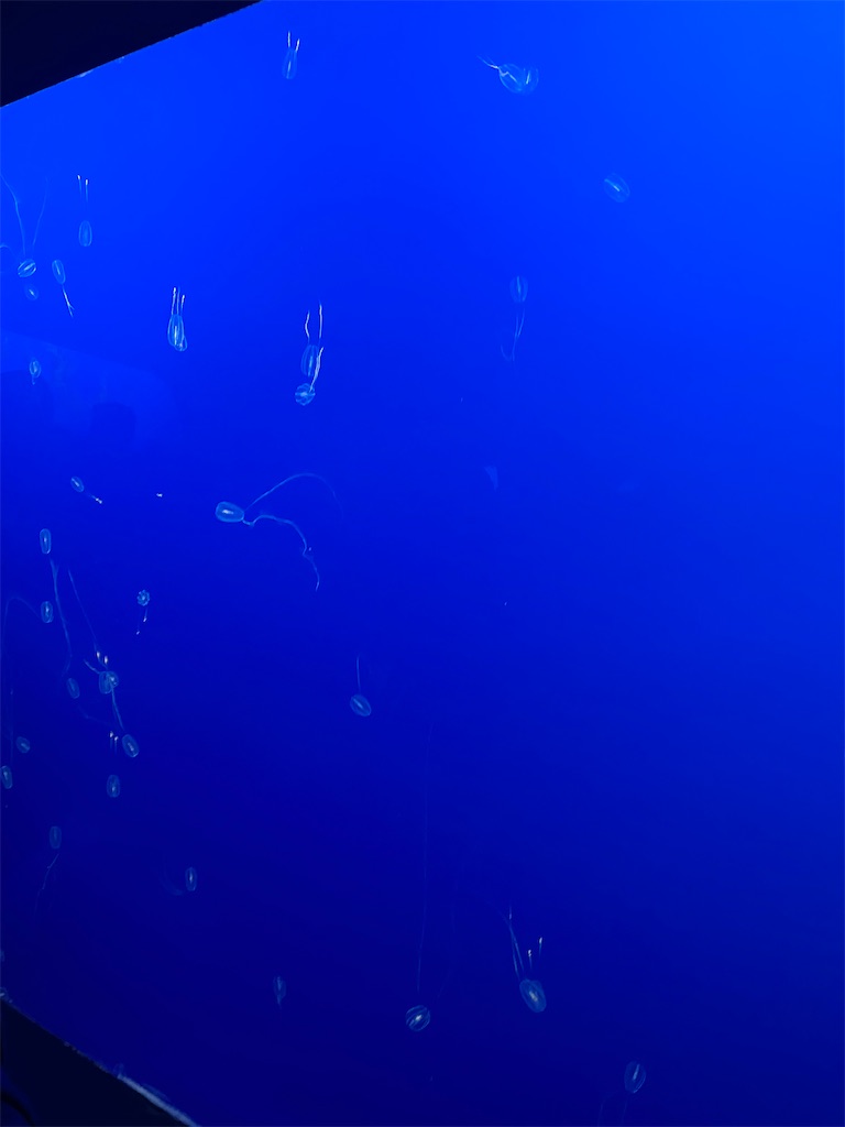 f:id:simpleandpeaceful:20220326134908j:image f:id:simpleandpeaceful:20220326134908j:image