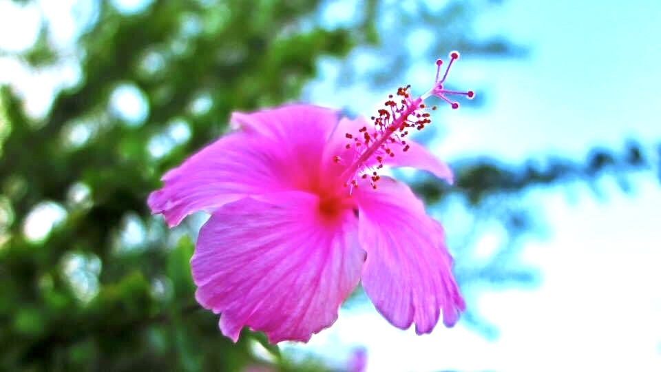 f:id:simplearchitect:20201210155157j:plain