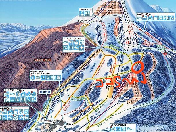 f:id:simplebestblue:20200209215843j:plain