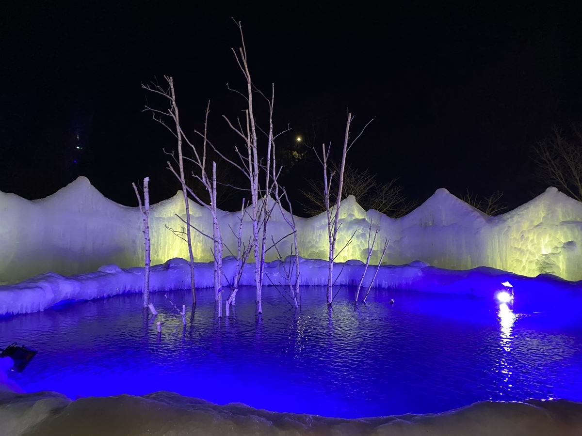 f:id:simplebestblue:20200213202824j:plain