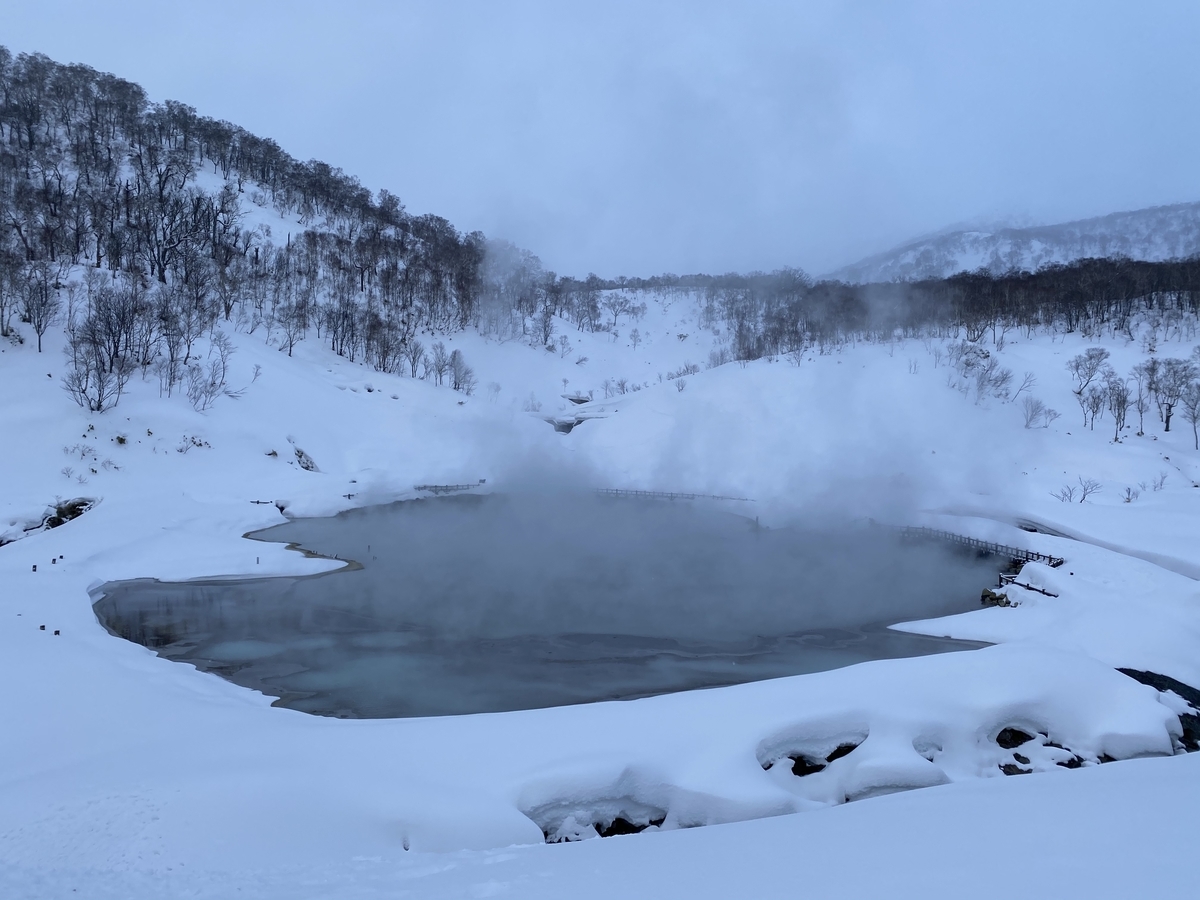 f:id:simplebestblue:20200220162646j:plain