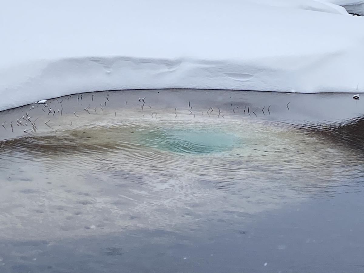 f:id:simplebestblue:20200220162820j:plain