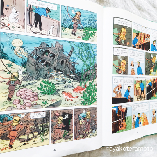 f:id:simplehome:20170509111156j:plain