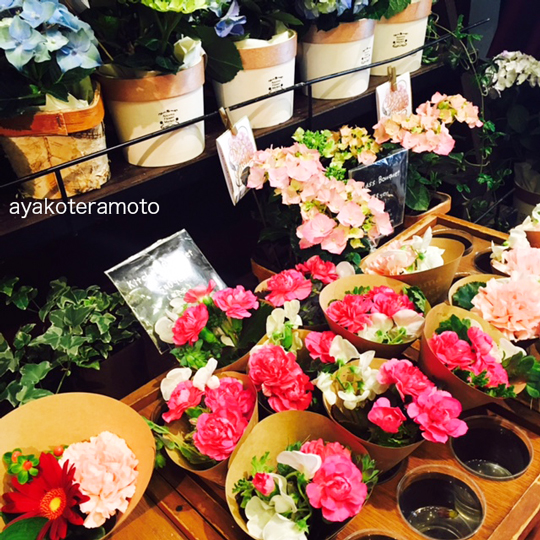 f:id:simplehome:20170626122142j:plain