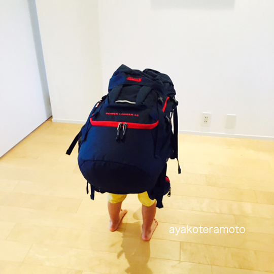 f:id:simplehome:20170726125029j:plain