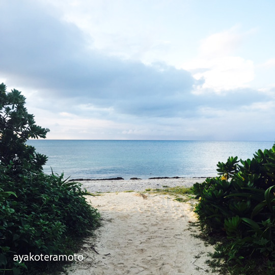 f:id:simplehome:20171102184235j:plain