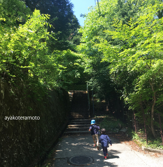 f:id:simplehome:20180508134313j:plain