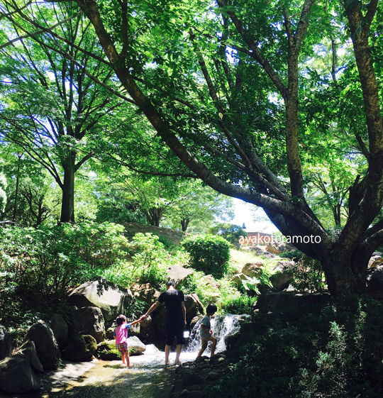 f:id:simplehome:20180706160517j:plain f:id:simplehome:20180706160517j:plain