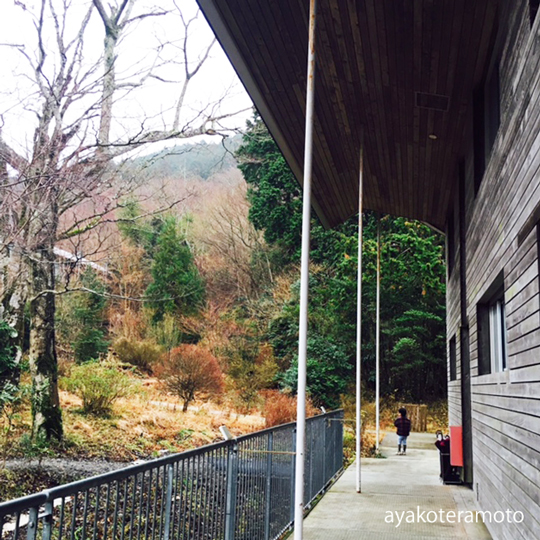 f:id:simplehome:20181226133848j:plain