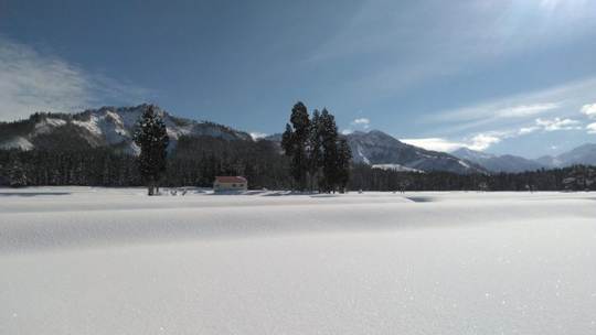 f:id:simplehome:20190104142403j:plain f:id:simplehome:20190104142403j:plain