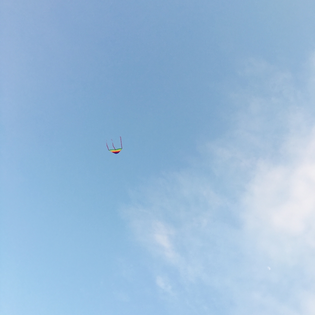 f:id:simplehome:20190212170746j:plain