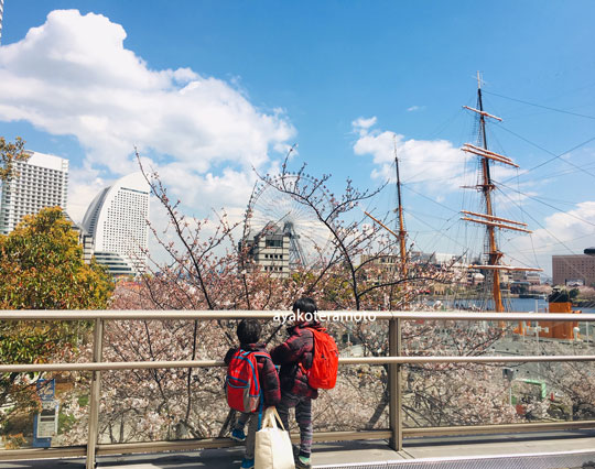 f:id:simplehome:20190402141329j:plain f:id:simplehome:20190402141329j:plain