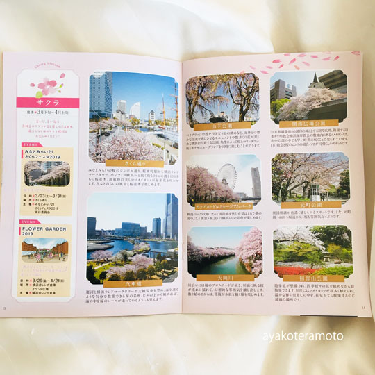 f:id:simplehome:20190402152908j:plain f:id:simplehome:20190402152908j:plain