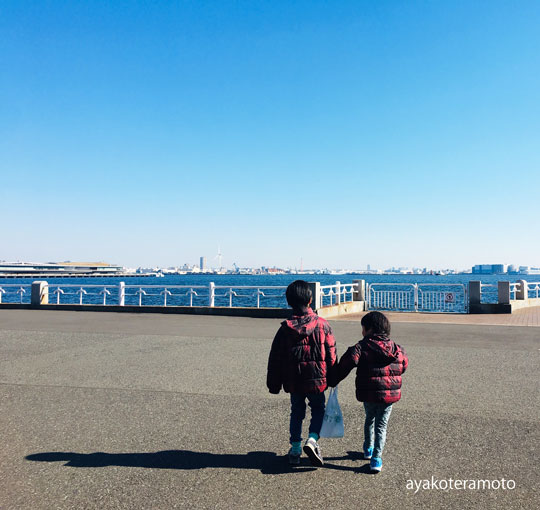 f:id:simplehome:20190403103206j:plain