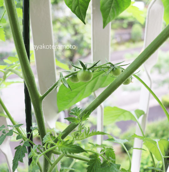 f:id:simplehome:20190630121053j:plain f:id:simplehome:20190630121053j:plain