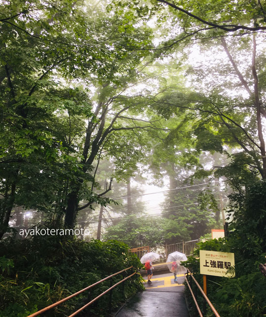 f:id:simplehome:20190719113126j:plain f:id:simplehome:20190719113126j:plain