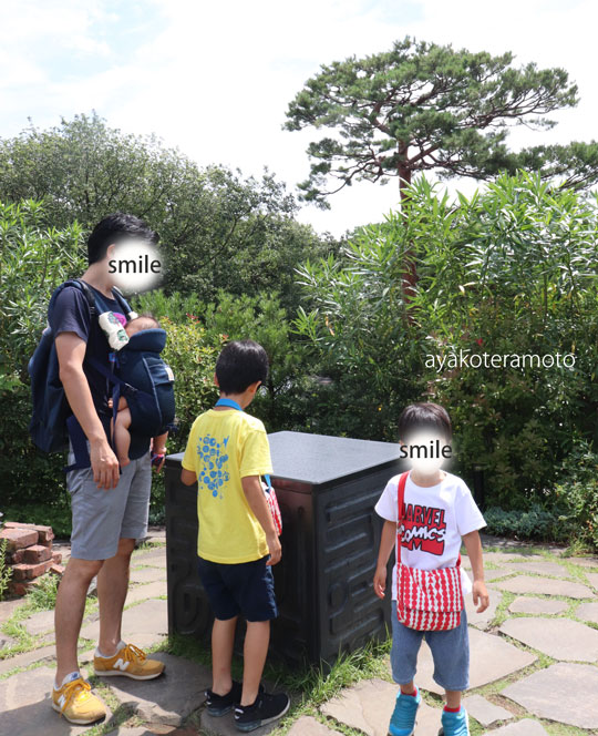 f:id:simplehome:20190731141835j:plain f:id:simplehome:20190731141835j:plain