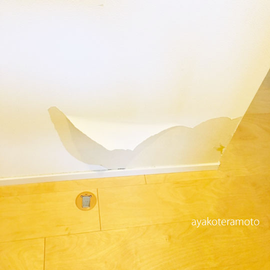 f:id:simplehome:20190809160150j:plain f:id:simplehome:20190809160150j:plain