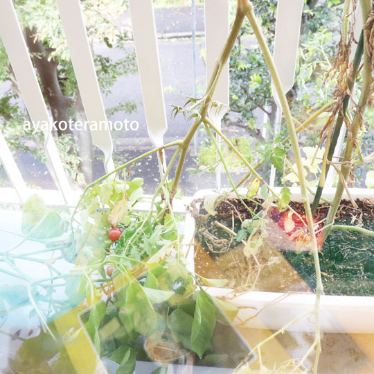 f:id:simplehome:20190909160743j:plain f:id:simplehome:20190909160743j:plain