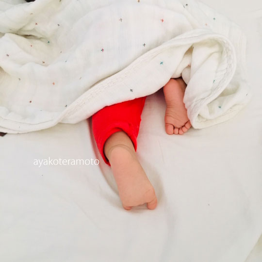 f:id:simplehome:20191107182247j:plain
