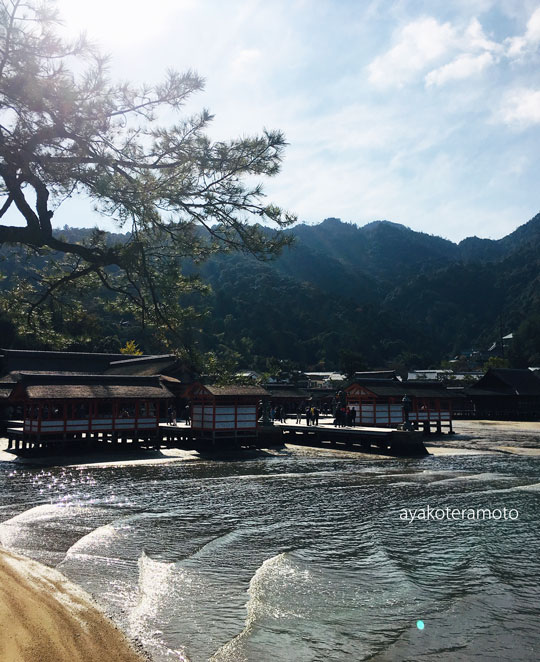 f:id:simplehome:20191113105305j:plain