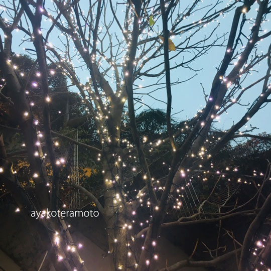 f:id:simplehome:20191222171734j:plain