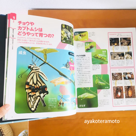 f:id:simplehome:20200512164659j:plain