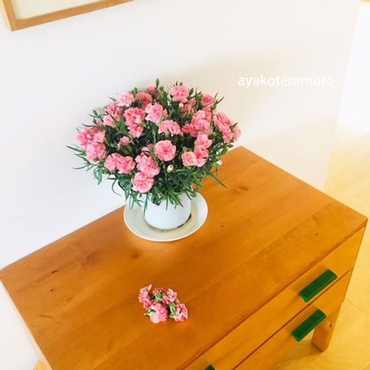 f:id:simplehome:20200512165628j:plain