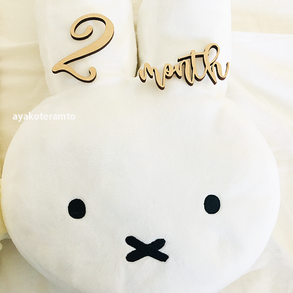 f:id:simplehome:20210620150616p:plain