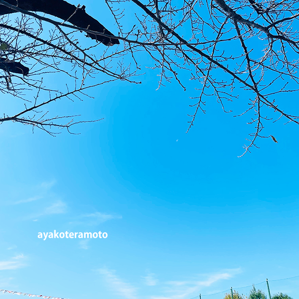 f:id:simplehome:20211031132106p:plain