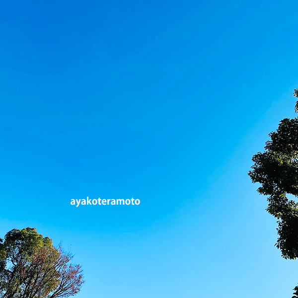 f:id:simplehome:20211124145503p:plain