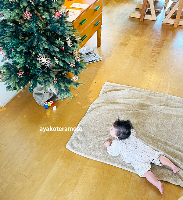 f:id:simplehome:20211211214319p:plain