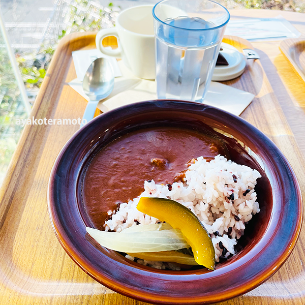 f:id:simplehome:20211219163836p:plain