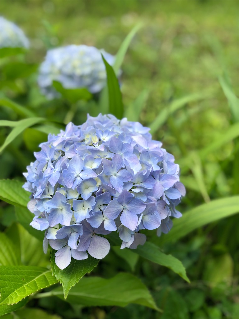f:id:simplelife0017:20181121213933j:image f:id:simplelife0017:20181121213933j:image