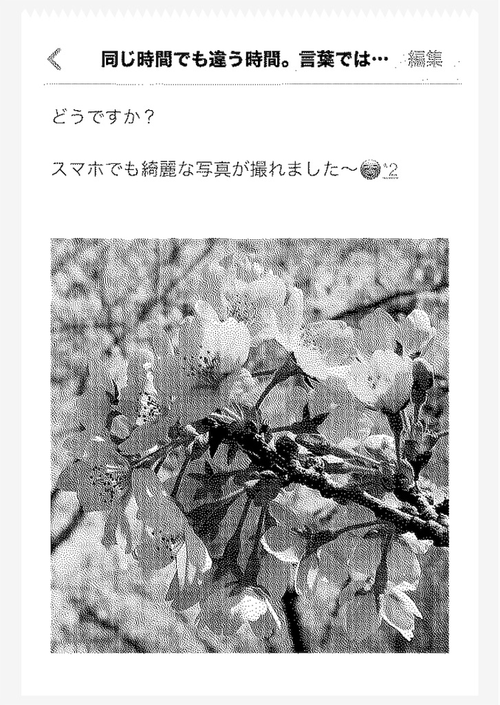 f:id:simplelifenavigation:20210330175208j:image f:id:simplelifenavigation:20210330175208j:image