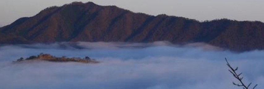 雲海スポットの雲海