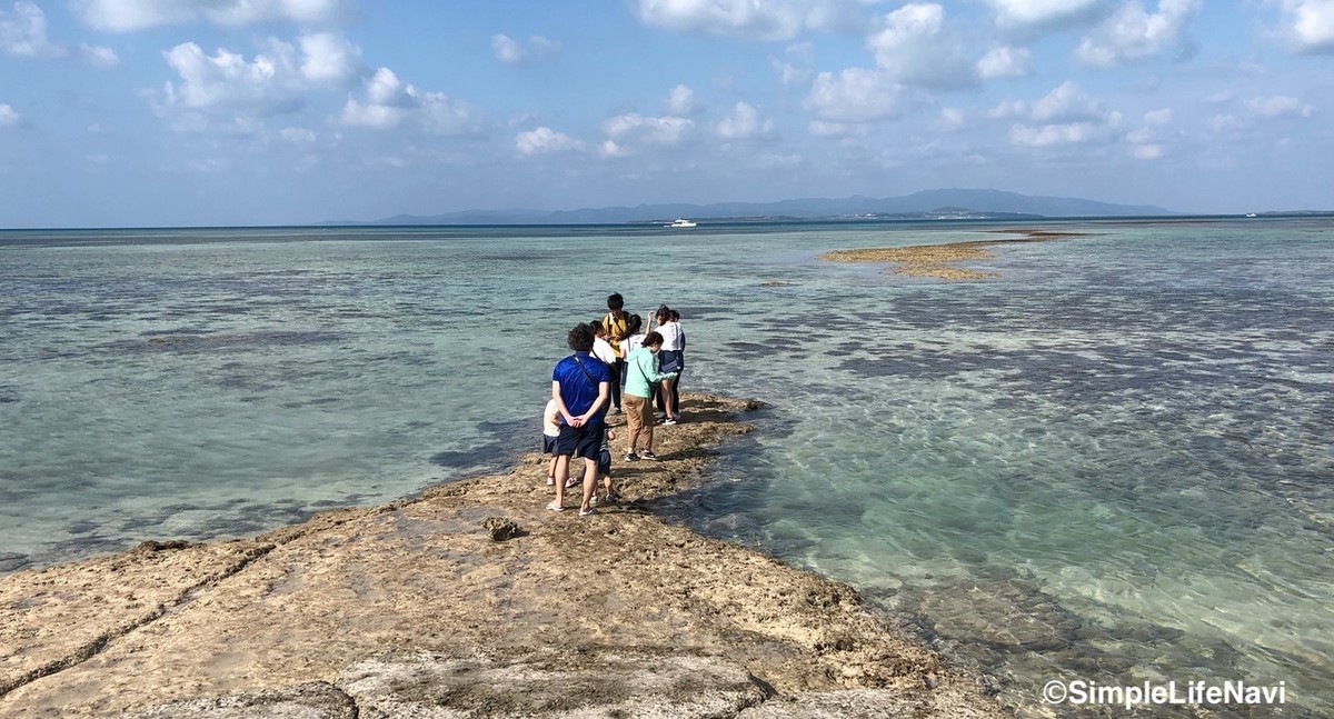 晴れた海は最高
