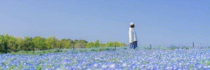 日帰り旅行