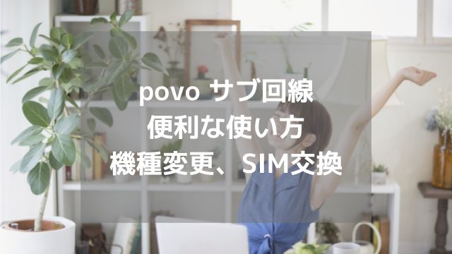 povo|便利な使い方|2回線目