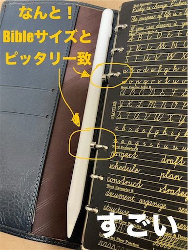 システム手帳の金具位置とぴったり一致