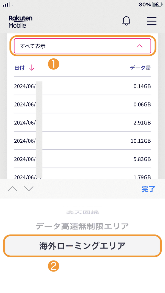 すべての表示から海外ローミングを選択