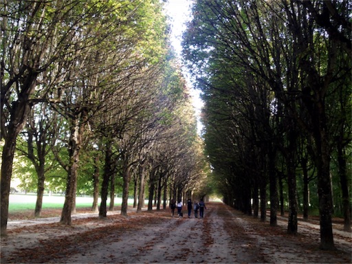 f:id:simplenclean:20160912033721j:image