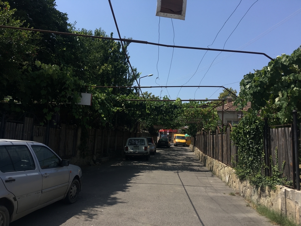 f:id:simplesinglelife:20190114132743j:plain f:id:simplesinglelife:20190114132743j:plain