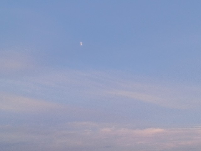 f:id:simplesmilelife:20220807133558j:image f:id:simplesmilelife:20220807133558j:image